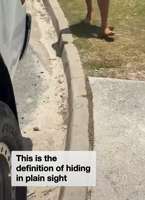 视频爆火!澳情侣教大家路边停车防罚款妙招,专家警告:恐坐牢(组图) - 3