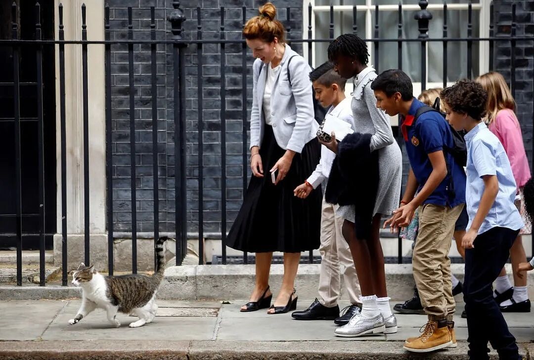 熬走五任首相，英国19岁首席捕鼠官又上热搜：咪的天，他好帅（组图） - 11
