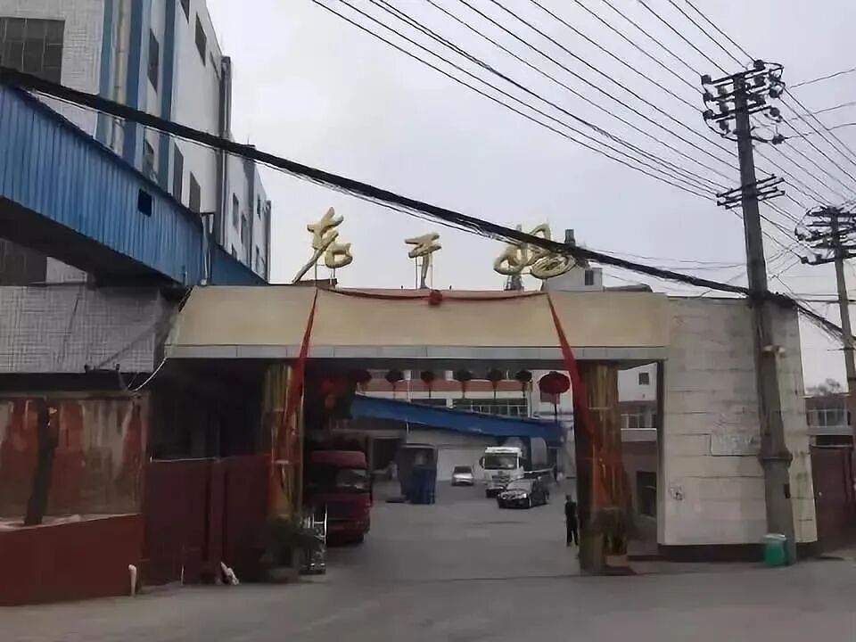 热搜炸了！俩儿不争气，79岁陶华碧再出山，老干妈三年狂赚54亿（组图） - 3