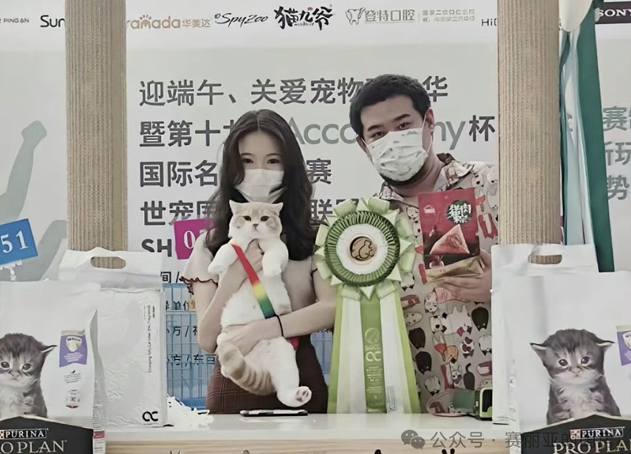女生怀小鲜肉网红孩子要抚养费被骂捞女!开直播秀颜值身材学历风评反转(组图) - 21