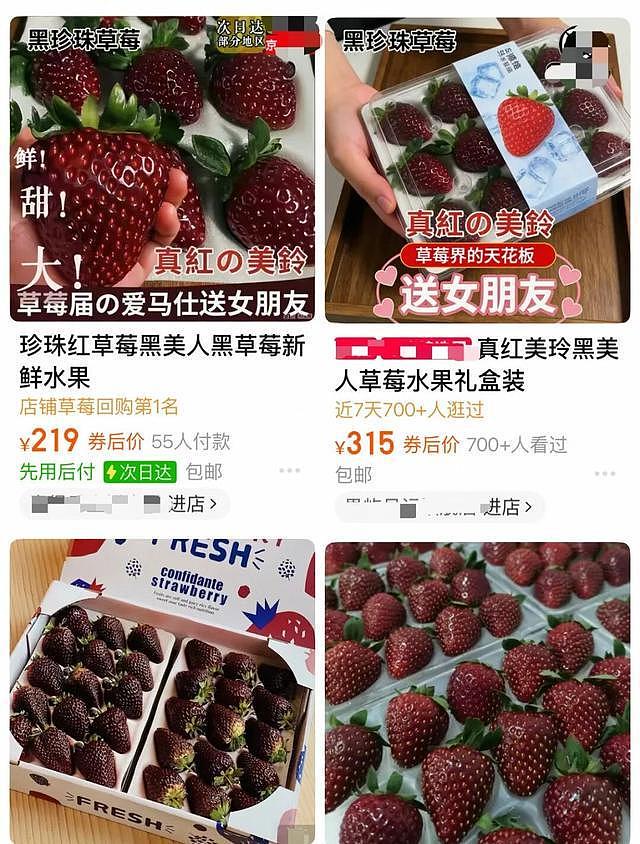 1斤315元！黑草莓成水果新“刺客”！有店铺销售超3000单，业内人士：黑草莓的糖度更高，基本都在15度以上（组图） - 1