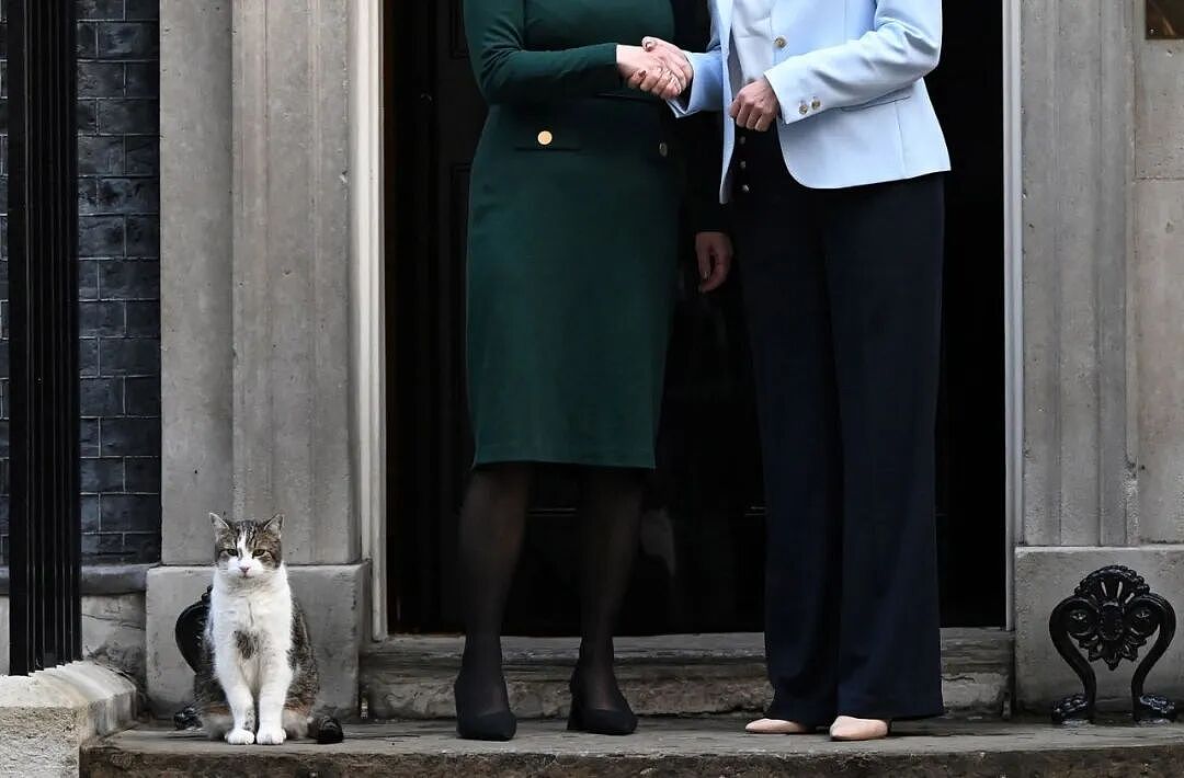 熬走五任首相，英国19岁首席捕鼠官又上热搜：咪的天，他好帅（组图） - 18