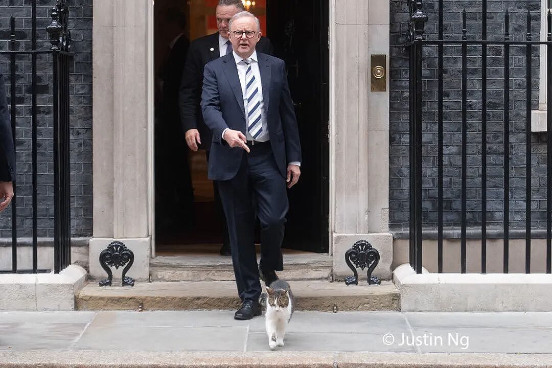 熬走五任首相，英国19岁首席捕鼠官又上热搜：咪的天，他好帅（组图） - 21