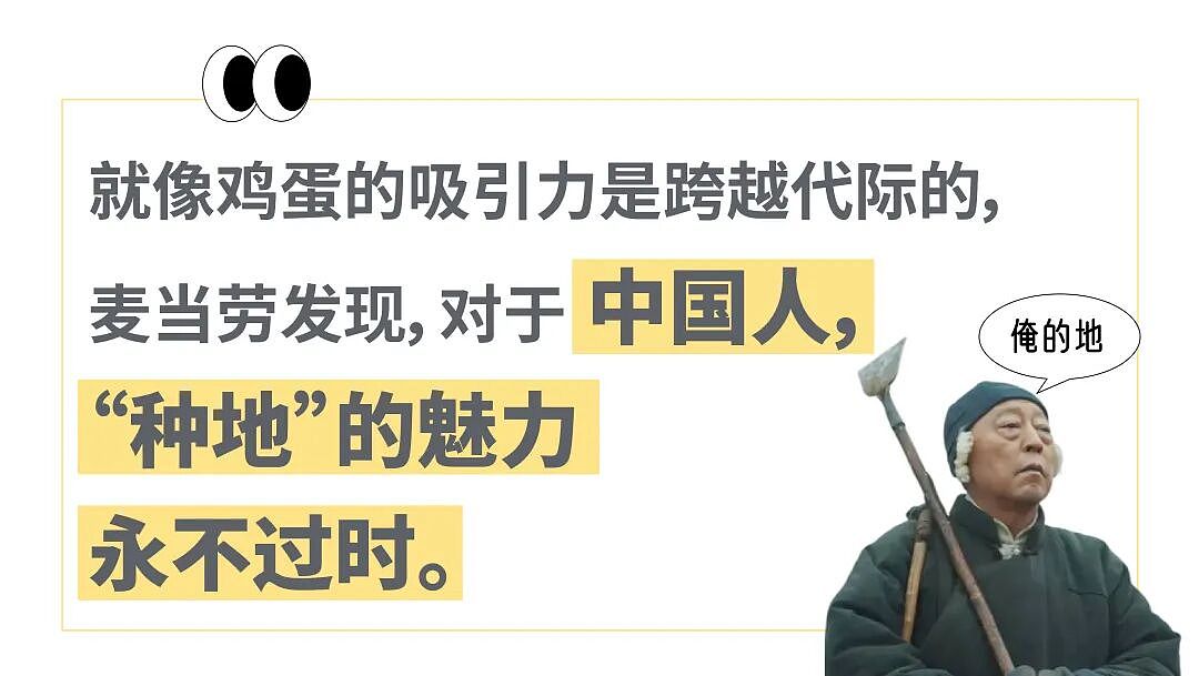 麦当劳发160万个鸡蛋两天被抢空,预制菜狂魔“养鸡种地”是在打西贝的脸吗?(组图) - 6