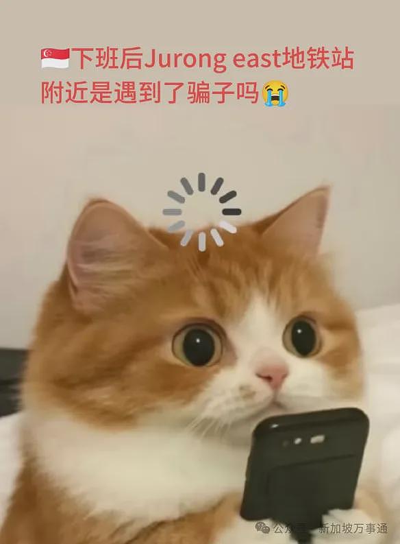 专挑中国人下手、可年入百万带薪旅游... 东南亚惊现一大波新型骗局！大使馆紧急发声（组图） - 26