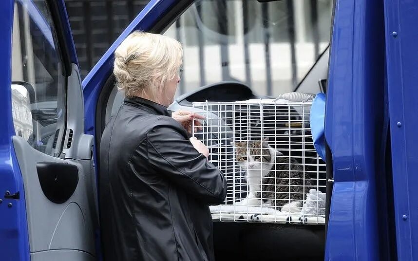 熬走五任首相，英国19岁首席捕鼠官又上热搜：咪的天，他好帅（组图） - 7