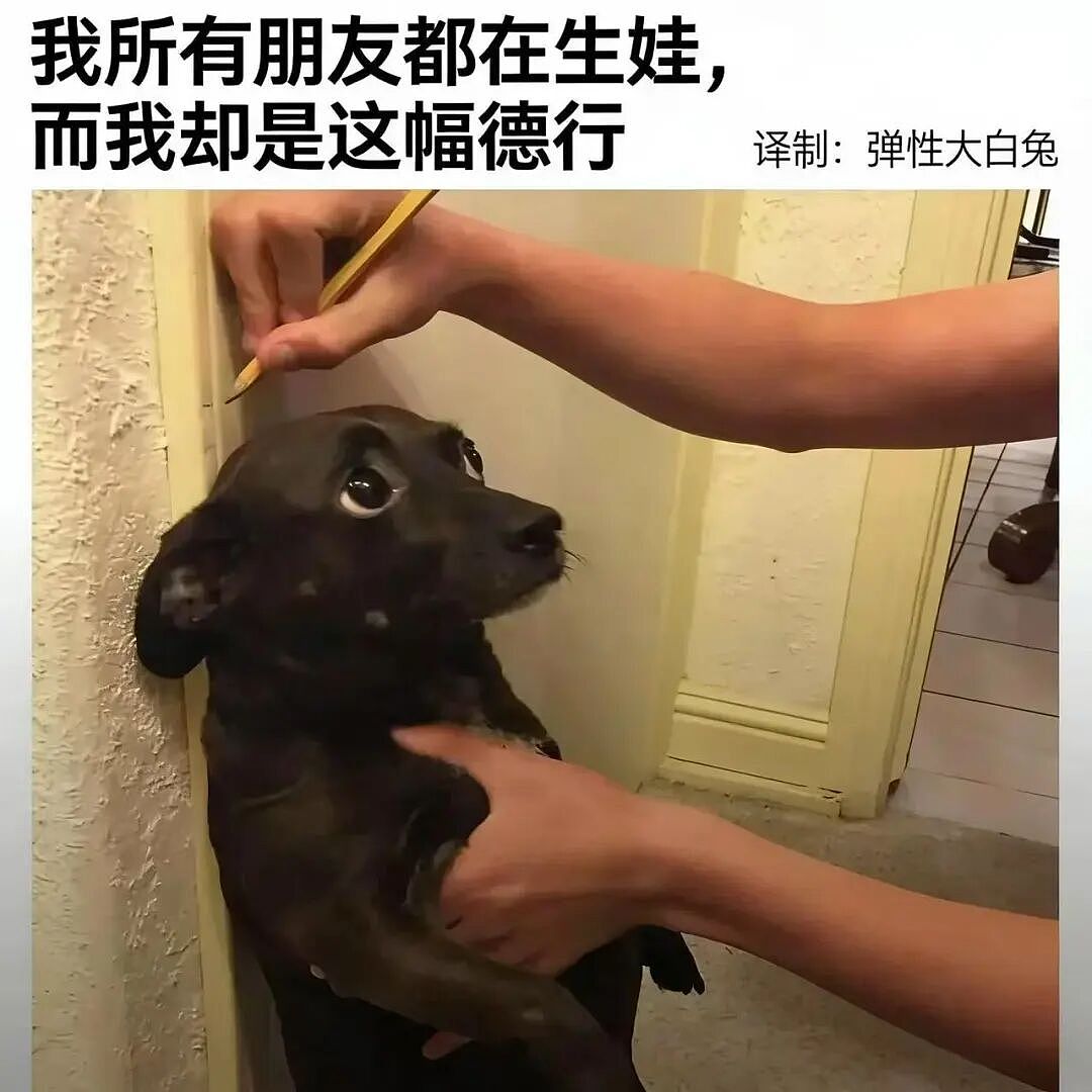 【爆笑】“02年的妹妹入职半个月后......“ 哈哈哈哈哈哈哈哈原谅我不厚道的笑了(组图) - 65
