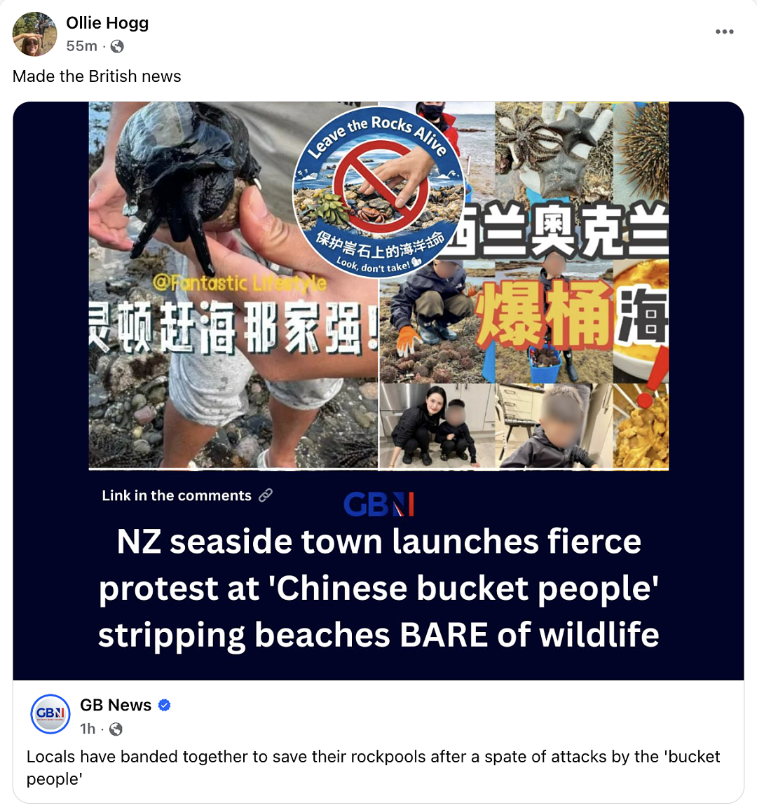 全网热议！华人被贴 “bucket people”标签！新西兰百人围滩抗议，矛头直指华人！小红书“赶海贴”竟成导火索（组图） - 19