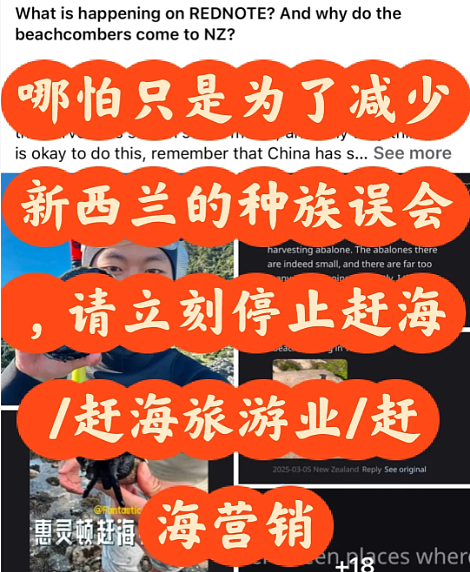 全网热议！华人被贴 “bucket people”标签！新西兰百人围滩抗议，矛头直指华人！小红书“赶海贴”竟成导火索（组图） - 24