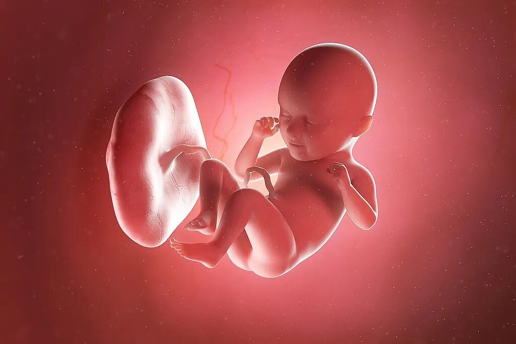 女子腹痛就医竟得知怀孕,23分钟后诞下男婴!网友惊呆:心真大…(组图) - 5