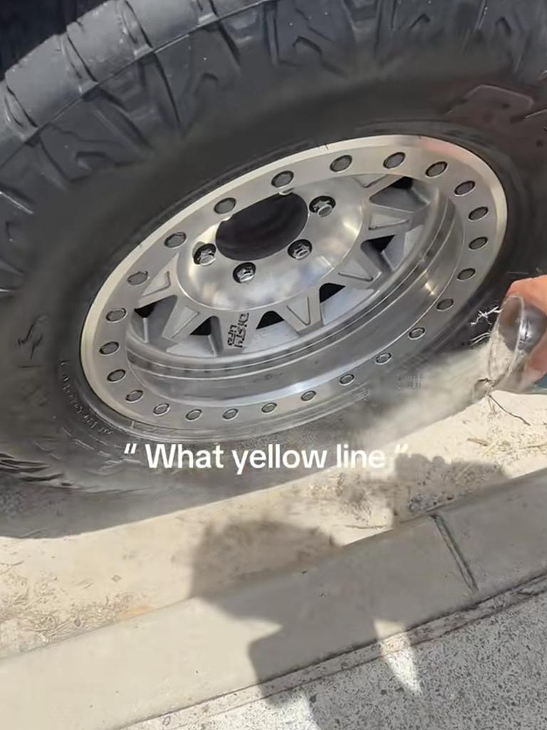 视频爆火!澳情侣教大家路边停车防罚款妙招,专家警告:恐坐牢(组图) - 4