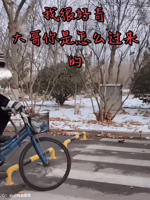 【爆笑】“为了钱人能不要脸面到什么地步？”哈哈哈哈哈哈网上没在乎的人吗！（组图） - 48