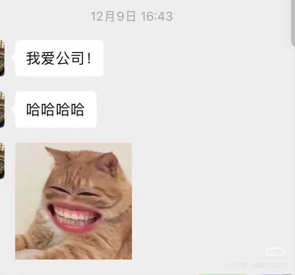 【爆笑】“02年的妹妹入职半个月后......“ 哈哈哈哈哈哈哈哈原谅我不厚道的笑了(组图) - 5