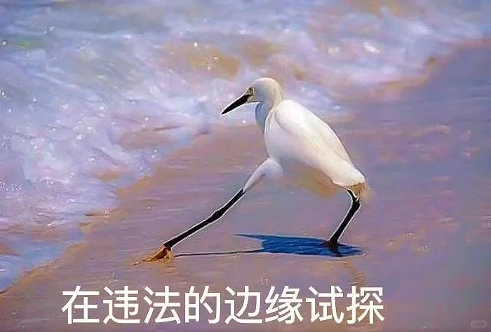 中国小伙落地新加坡被关“小黑屋”,竟干出这件事!恐遭巨额罚款、终身禁入境…(组图) - 7