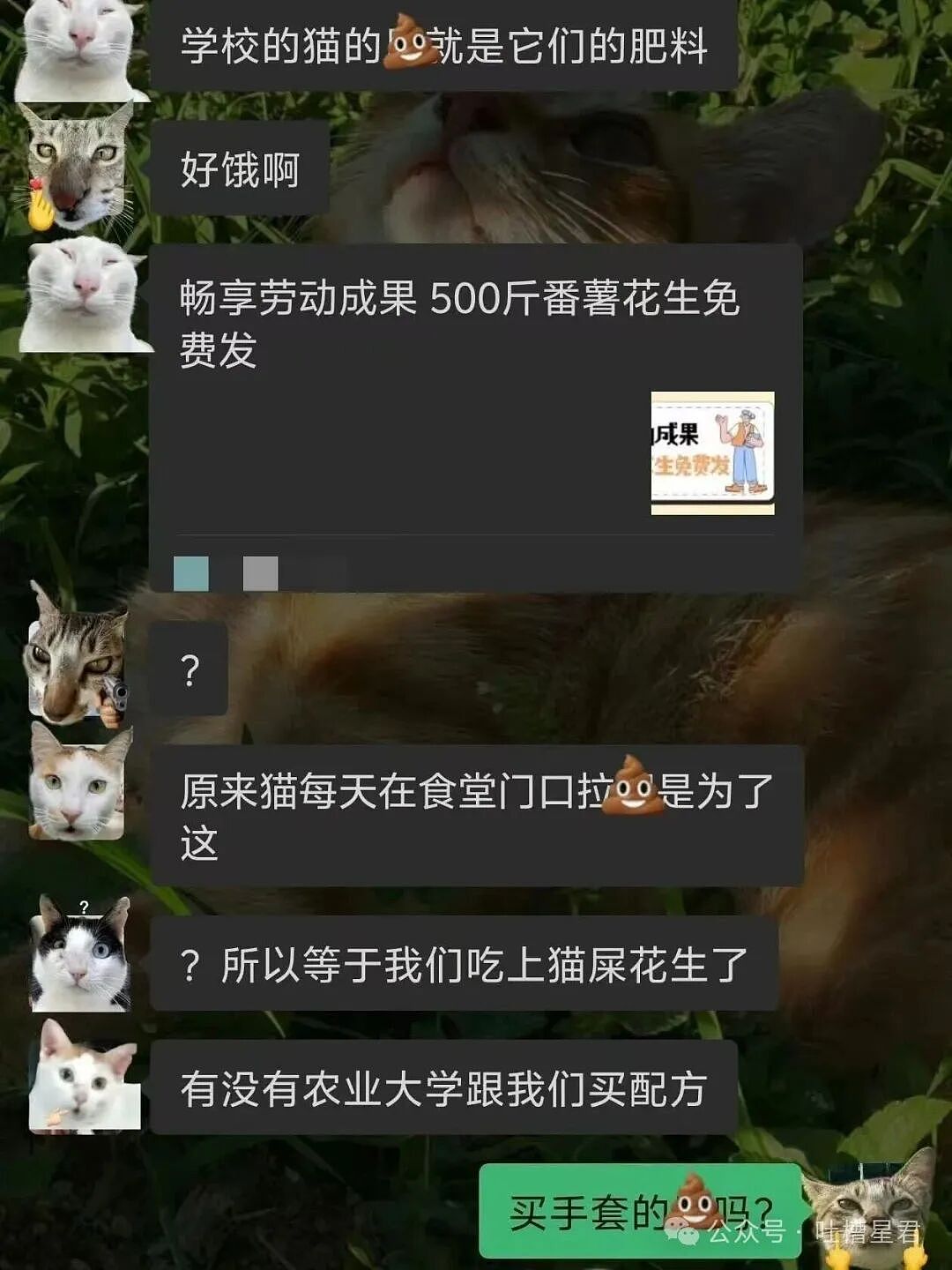 【爆笑】单位年会冲上台了20个肌肉果男…？哈哈哈大单位福利待遇就是好（组图） - 24
