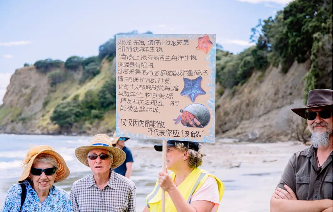 华人被点名“针对”?新西兰爆发大规模抗议,怒斥“掠夺式赶海”!愈演愈烈...(组图) - 2