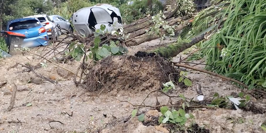 道路封闭，多人失联，超市面包断货，新西兰洪灾升级；奥克兰男子6年偷拍泳池更衣室400人；摩托车骑手在高速撞车身亡（组图） - 7
