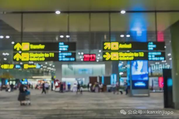 “落地新加坡被关小黑屋”!中国男子在樟宜机场拍抖音,或将被重罚(组图) - 4