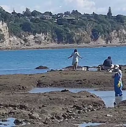 华人被点名“针对”?新西兰爆发大规模抗议,怒斥“掠夺式赶海”!愈演愈烈...(组图) - 6