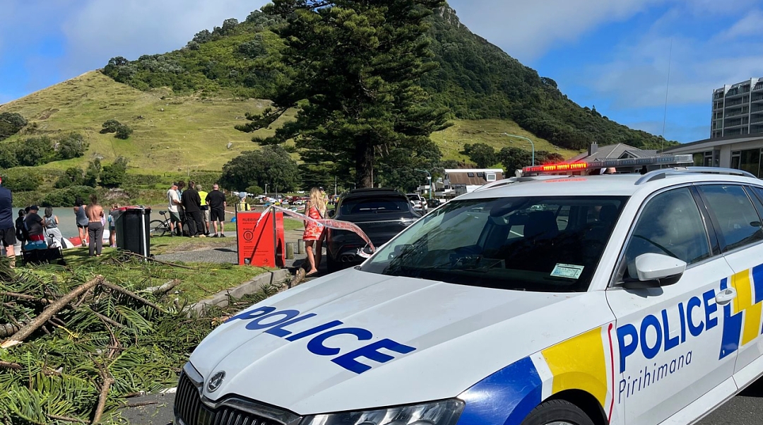 噩耗!新西兰一度假公园突发山体滑坡,2人遇难9人失联,官方确认:有中国公民不幸遇难,恶劣天气阻碍搜救(组图) - 7