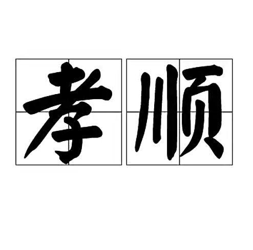 华人定居海外最深的痛！给父母养老，难于上青天！最无解的“跨国空巢”困境...（组图） - 5