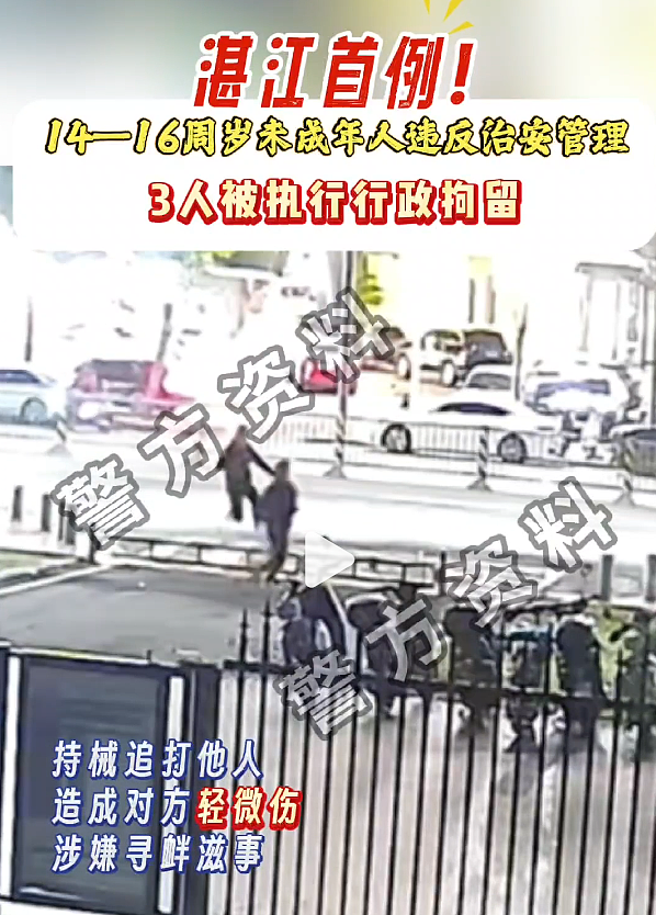 这3人总算被抓了!都记住了哈,过了今年1月1日,14岁就可以拘留了…(组图) - 1
