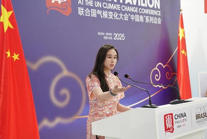 何超欣出席阿联酋策展，与胡兵同台交流，共同为环保做贡献（组图） - 11