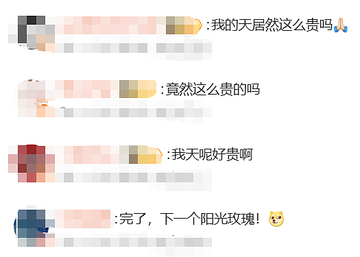 超300元/斤，突然爆火！又一个“水果刺客”？网友：快把价格打下来，想尝尝......（组图） - 2