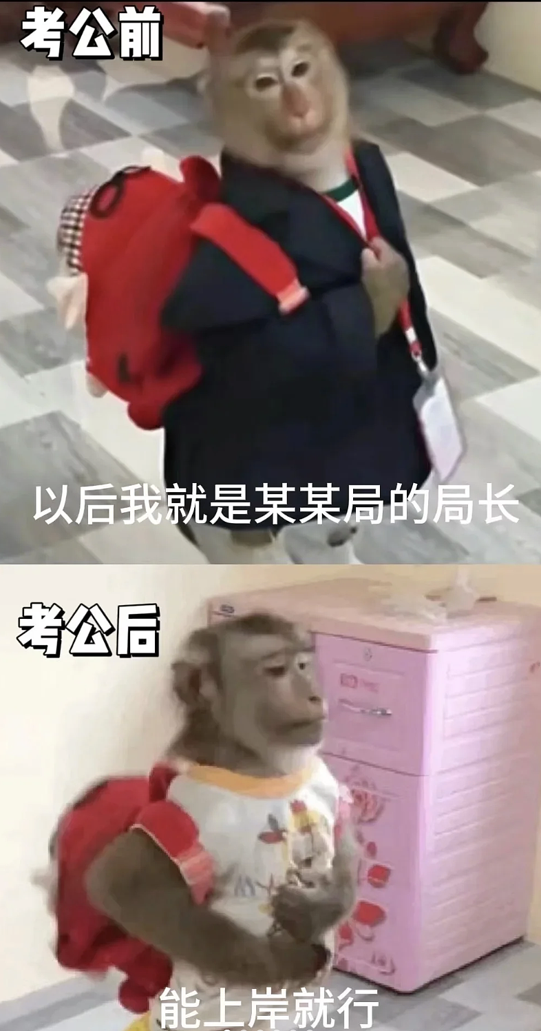 中年考公三件套，一年狂捞270亿？（组图） - 24