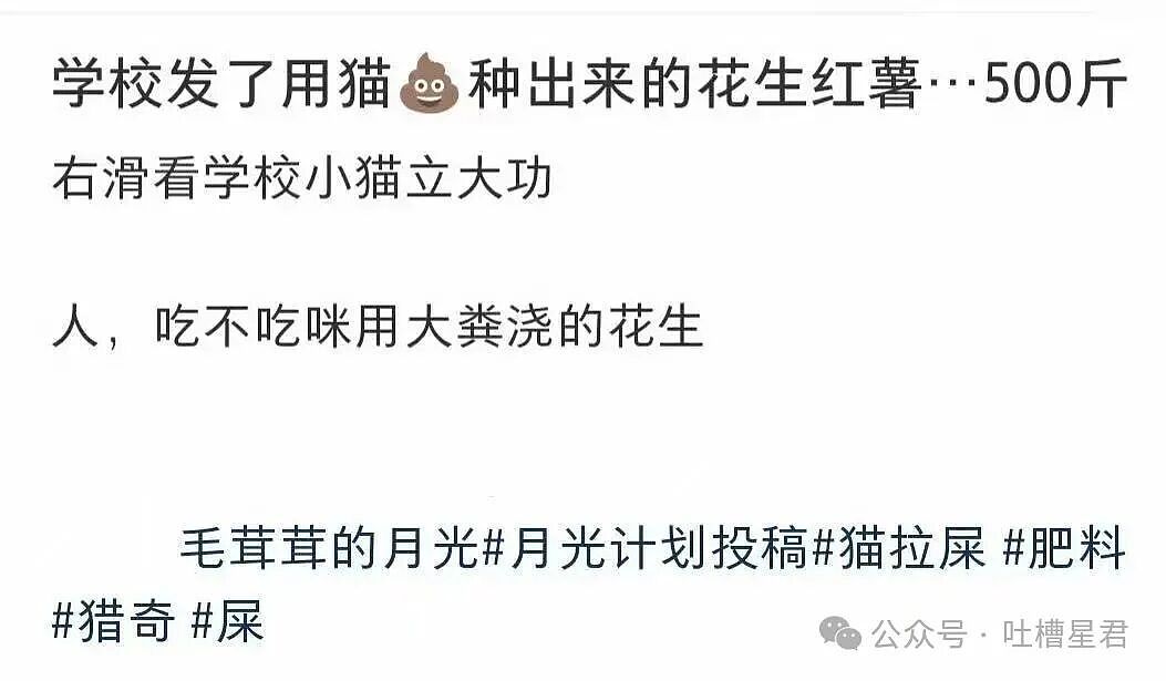【爆笑】单位年会冲上台了20个肌肉果男…？哈哈哈大单位福利待遇就是好（组图） - 23