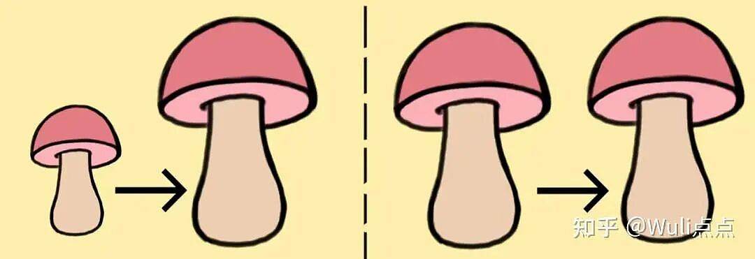 【两性】女生是如何看待男生丁丁大小尺寸的（组图） - 3