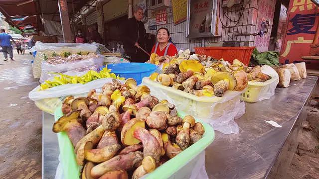亚洲牛肝菌的致幻效应：食材背后的科学谜团（组图） - 2