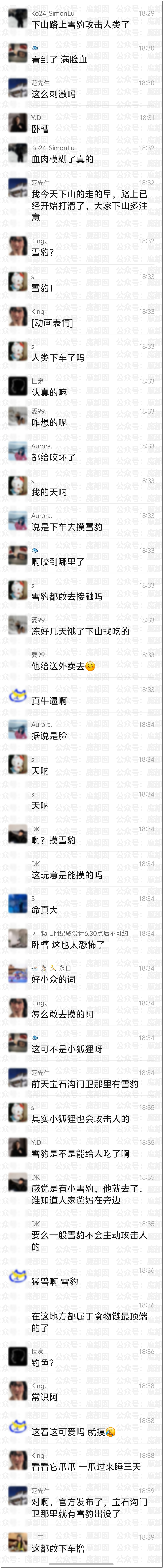 震撼！漂亮女生新疆旅游被野生雪豹撕咬，血流满面被人搀扶走出险境（视频/组图） - 5