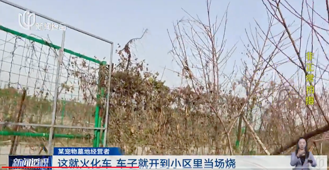 焚化炉送上门！这种需求在上海激增！遗体告别、选择墓地…网友吵翻（组图） - 6