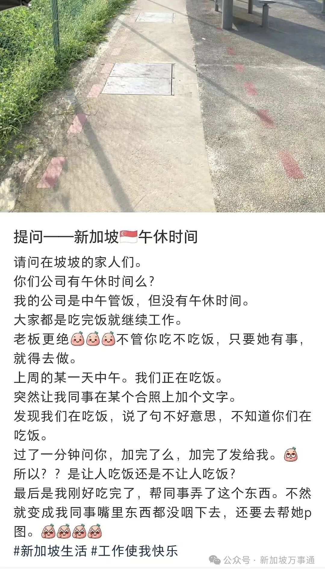 中国32岁IT男猝死案让新加坡打工人破防!李显龙资政反996言论引爆热搜(组图) - 17