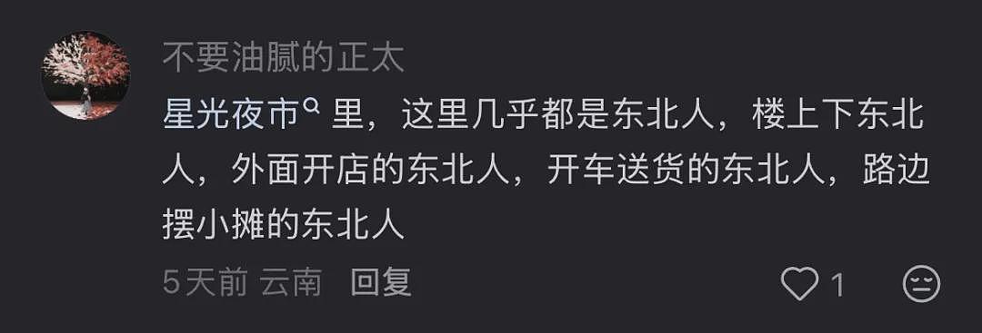 西双版纳快成“东北版纳”,当地人不开心(组图) - 4