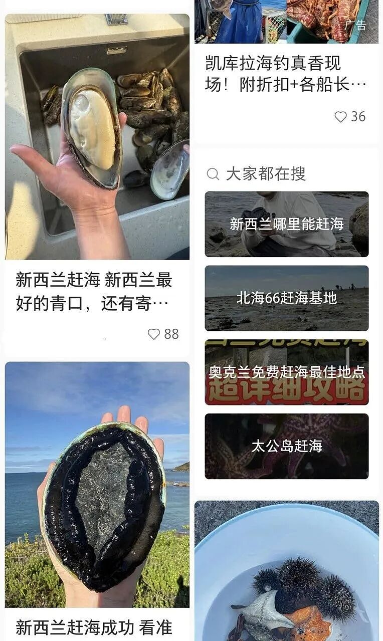 大规模针对华人抗议爆发！本地人在海边用中文横幅抵制，某书帖子竟成了铁证...（组图） - 7