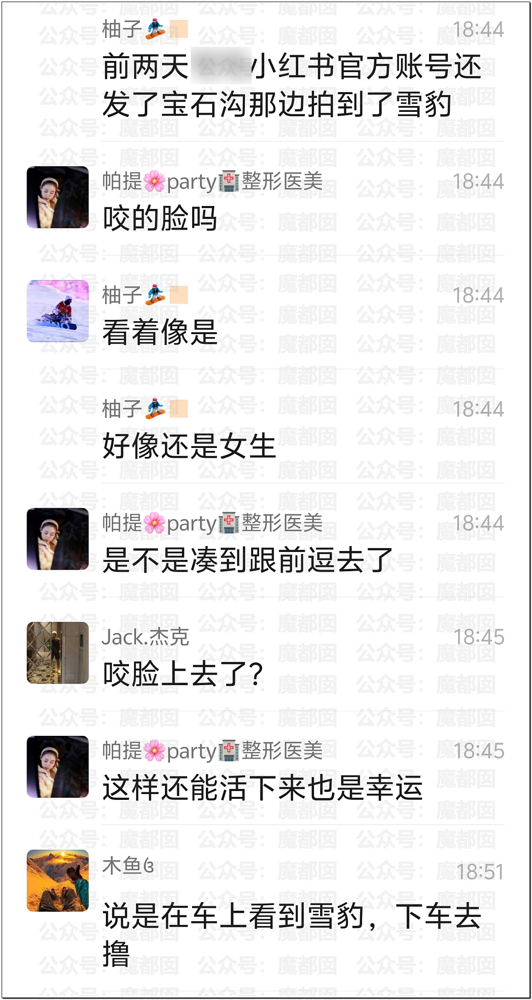 震撼！漂亮女生新疆旅游被野生雪豹撕咬，血流满面被人搀扶走出险境（视频/组图） - 4