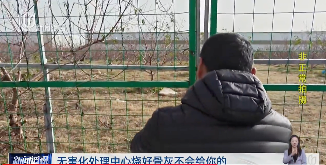 焚化炉送上门！这种需求在上海激增！遗体告别、选择墓地…网友吵翻（组图） - 15