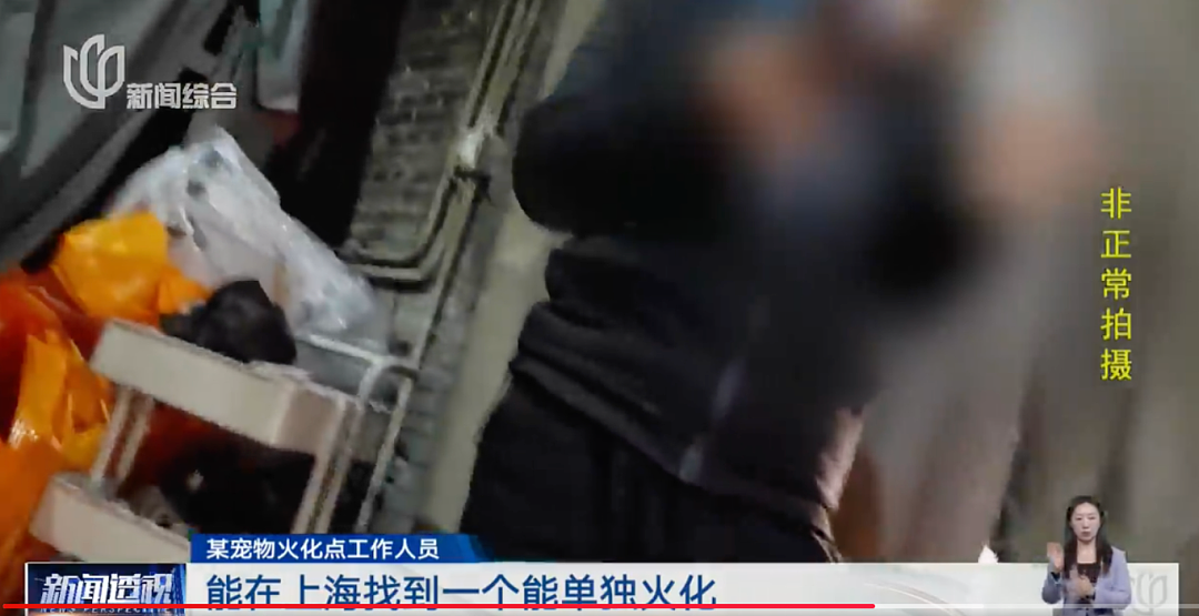 焚化炉送上门！这种需求在上海激增！遗体告别、选择墓地…网友吵翻（组图） - 16