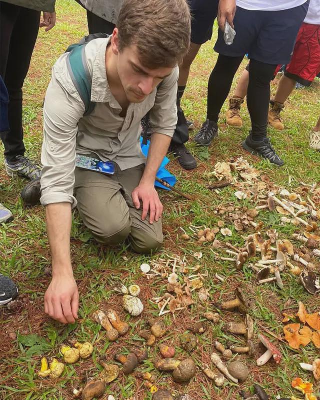 亚洲牛肝菌的致幻效应：食材背后的科学谜团（组图） - 3