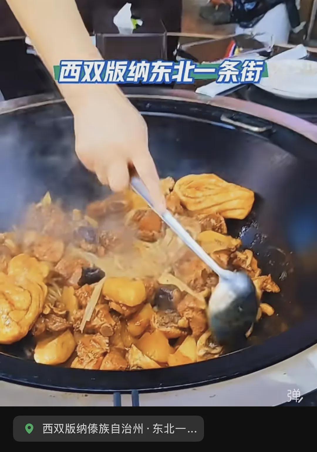 西双版纳快成“东北版纳”,当地人不开心(组图) - 7