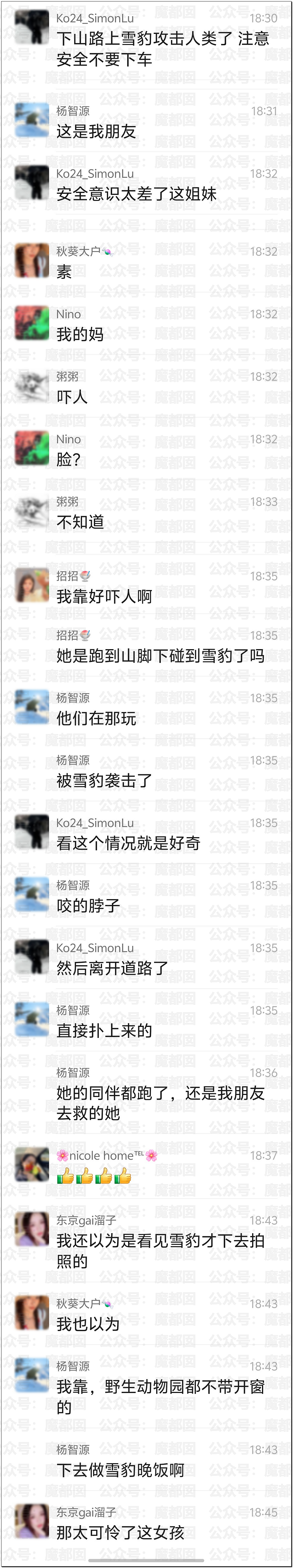 震撼！漂亮女生新疆旅游被野生雪豹撕咬，血流满面被人搀扶走出险境（视频/组图） - 6