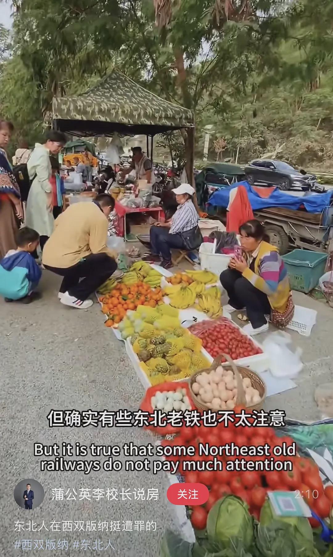 西双版纳快成“东北版纳”,当地人不开心(组图) - 17