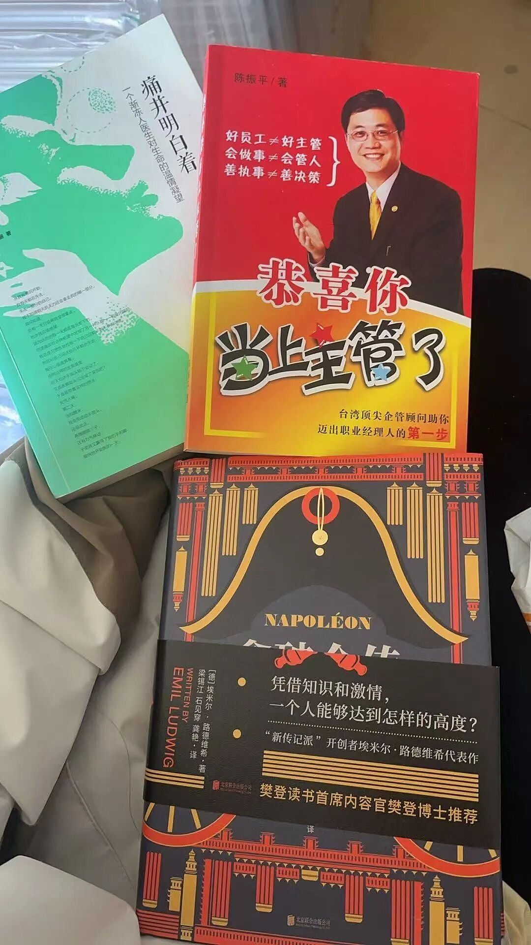 中国32岁IT男猝死案让新加坡打工人破防!李显龙资政反996言论引爆热搜(组图) - 11