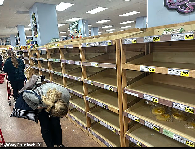 美国遭遇“灾难级冰暴”!34州告急,2.3亿人受影响,航班大停飞,电网恐瘫痪(组图) - 3
