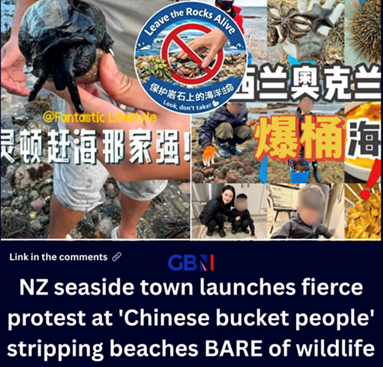大规模针对华人抗议爆发！本地人在海边用中文横幅抵制，某书帖子竟成了铁证...（组图） - 9