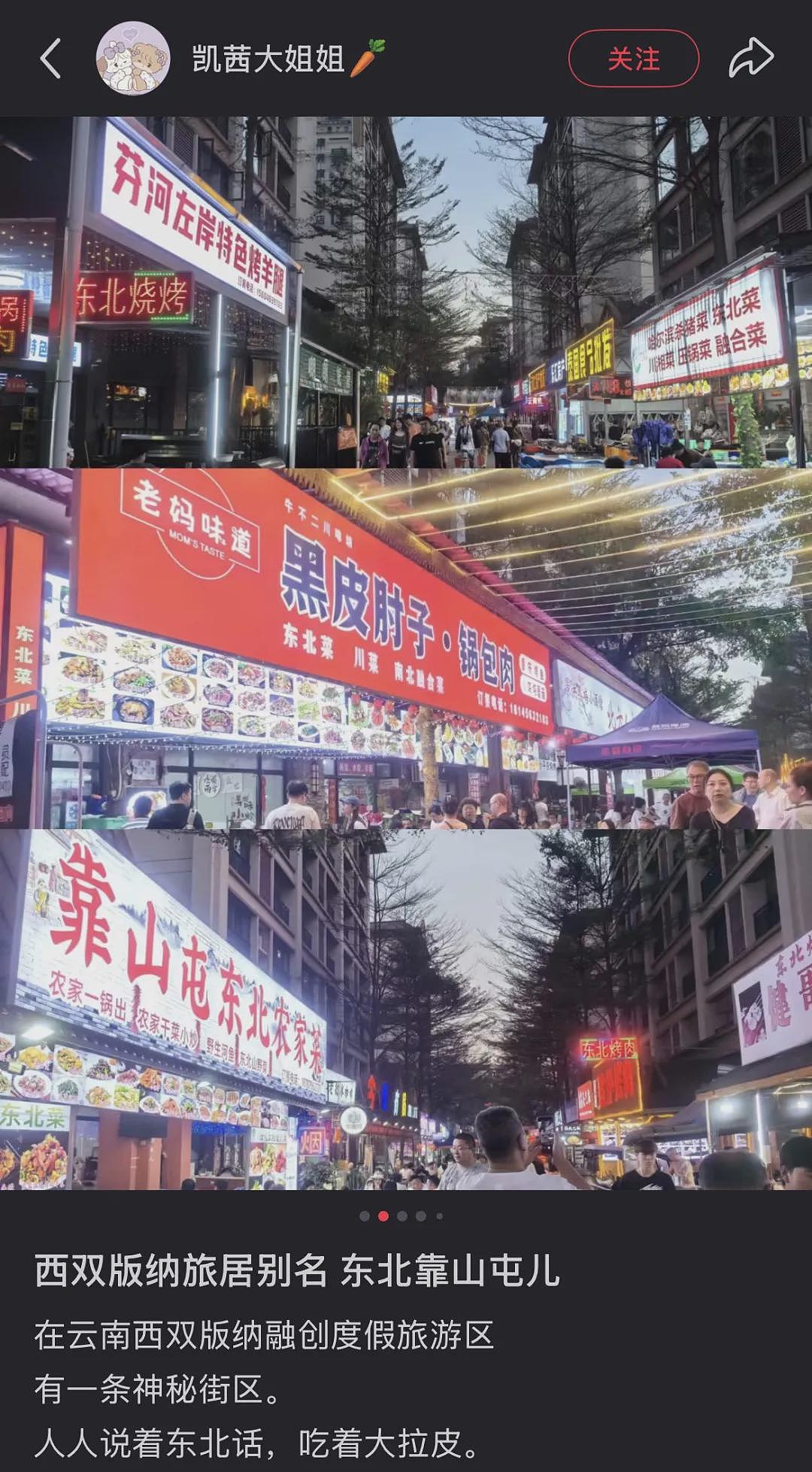 西双版纳快成“东北版纳”,当地人不开心(组图) - 11