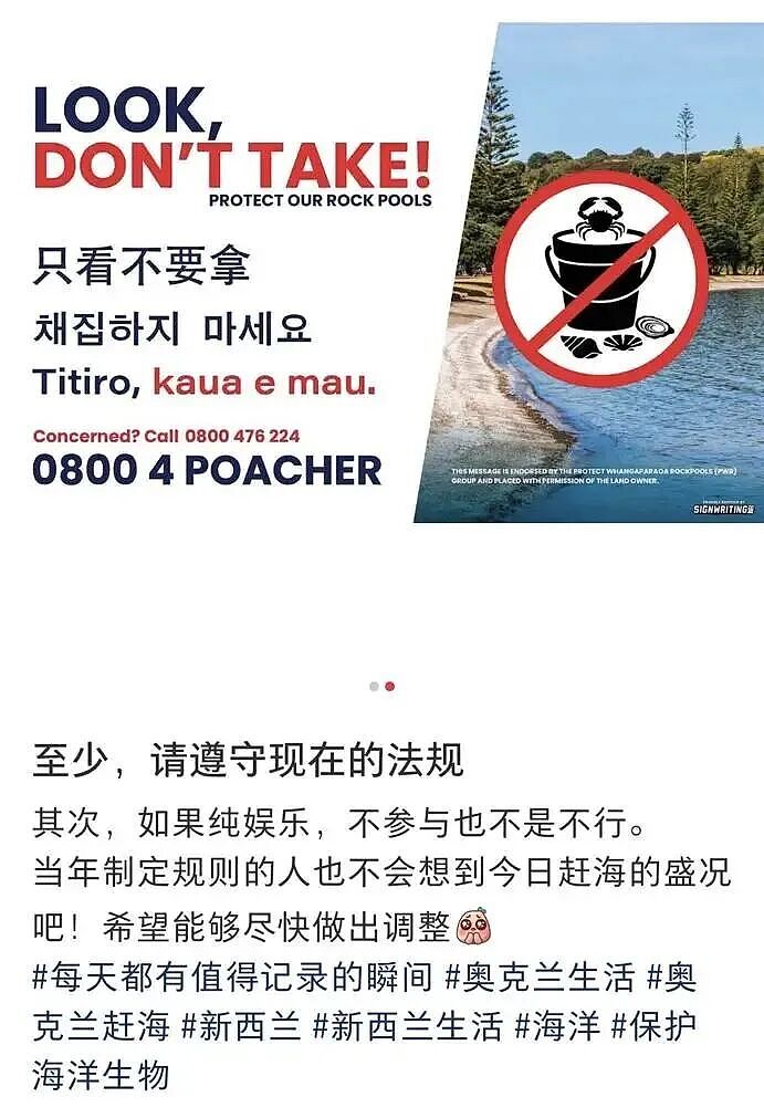 大规模针对华人抗议爆发！本地人在海边用中文横幅抵制，某书帖子竟成了铁证...（组图） - 11