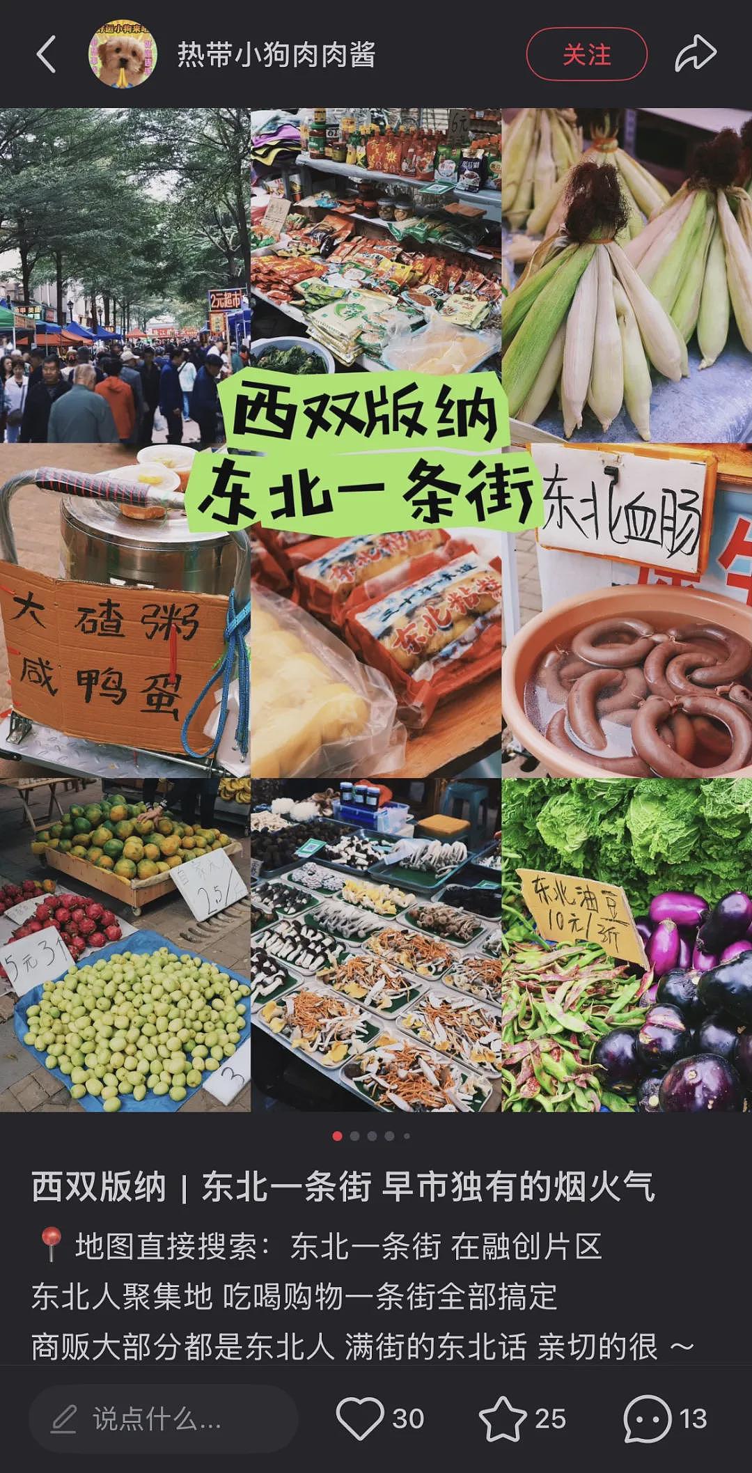 西双版纳快成“东北版纳”,当地人不开心(组图) - 10
